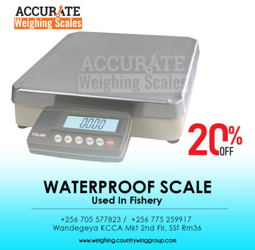 digital Waterproof Food Service Scale – Accurate suppliers