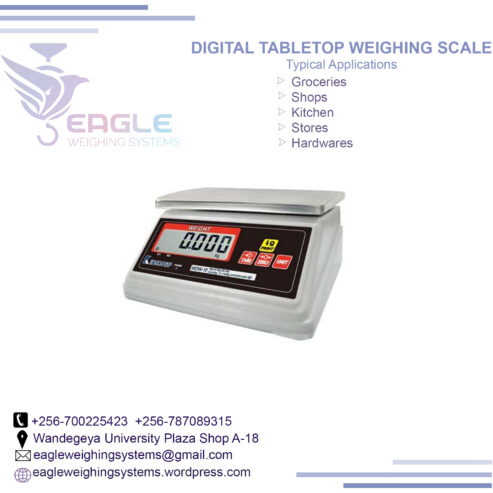 Digital Portable Kitchen Weighing Scales in Kampala Uganda