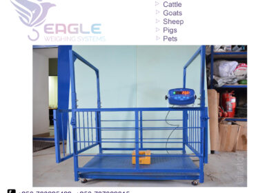 weighing-scale-square-work1-2