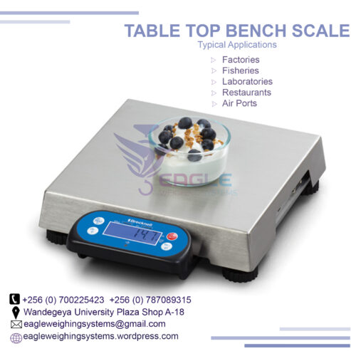 Waterproof type Table Top stainless steel weighing Scales