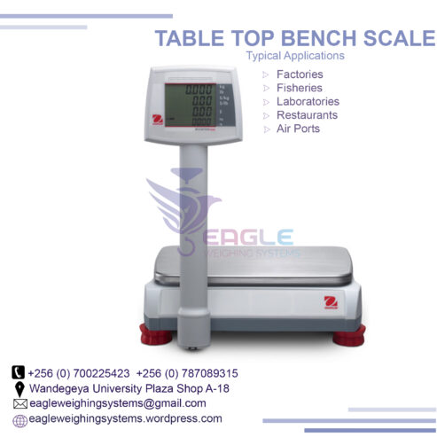 Commercial Electronic Table Top Kitchen Food Scales