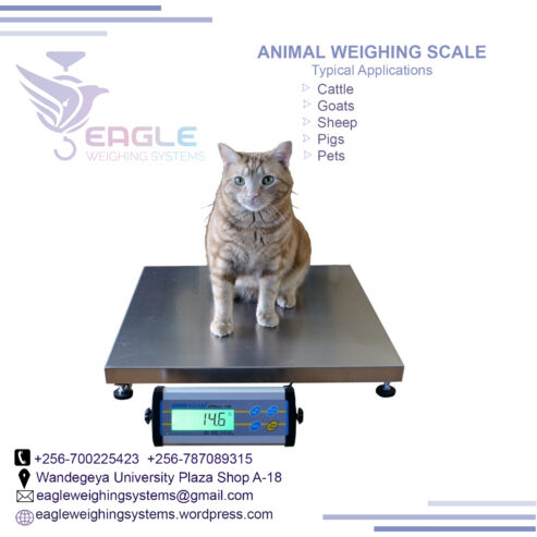 Electronic platform digital animal weighing scale