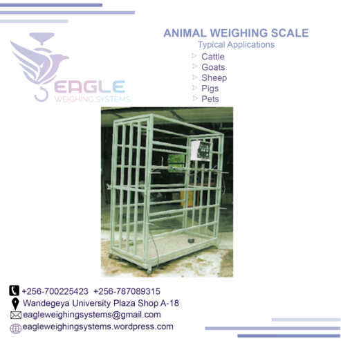 Platform animal weighing scales at Eagle Weighing Systems