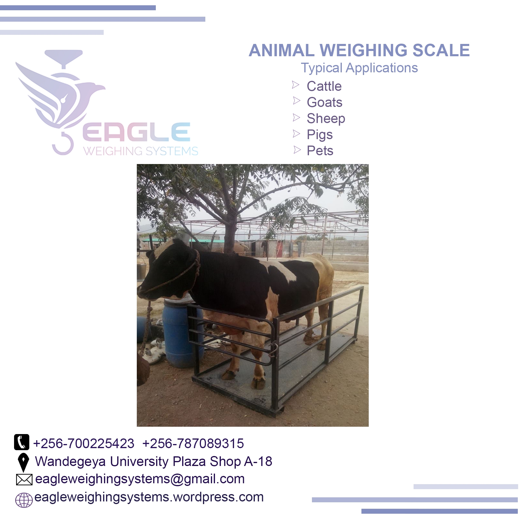 Eagle animal weighing scales 3000 Kg platforms cattle scales - Pundas ...