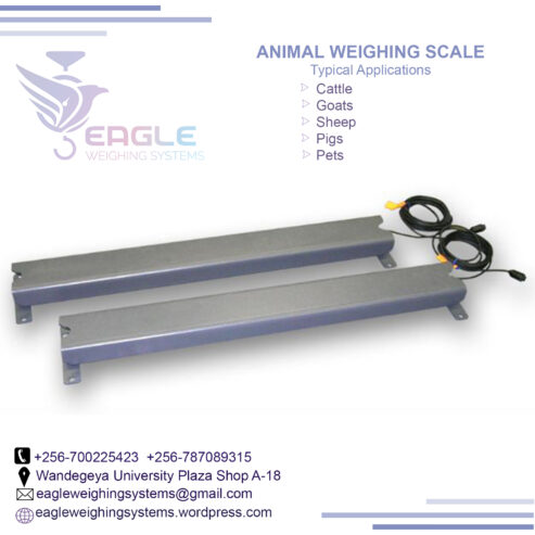 Stainless steel top platform animal weighing scale