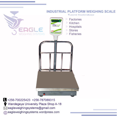 TCS system electronic bench weighing digital platform scales