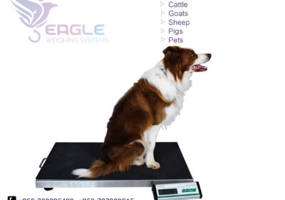 weighing-scale-square-work21-1