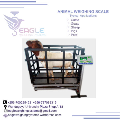 Platform weighing scales supplier in Entebbe Uganda