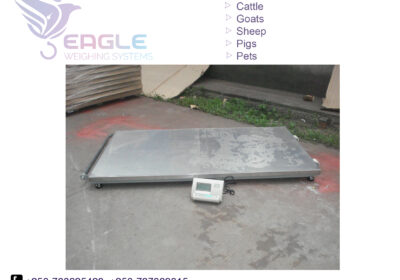 weighing-scale-square-work24-1