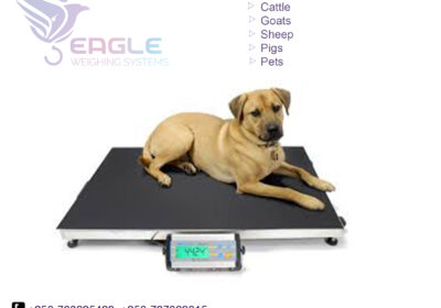 weighing-scale-square-work25-1