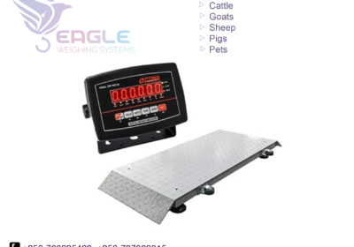 weighing-scale-square-work31-2