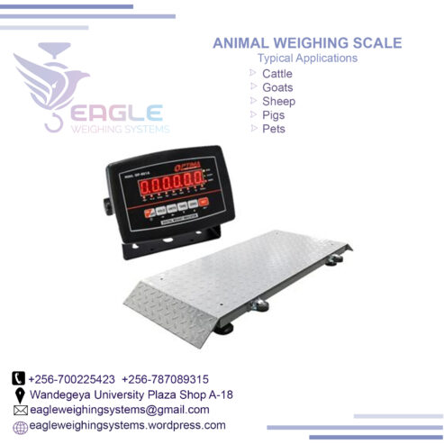 Digital animal weighing scales Electronics Platform Scale