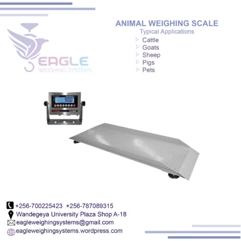 Digital weight 3 ton electric warehouse animal weighing scal