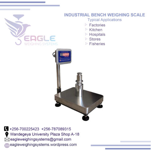 Electronic floor weighing scale bench scales in Kampala