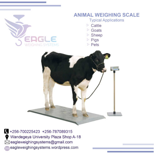 Animal Electronic Industrial platform weighing scales