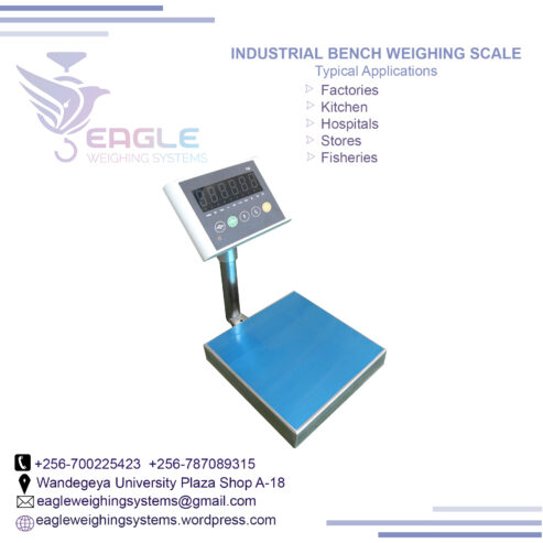 Electronic platform weighing digital scale/balance