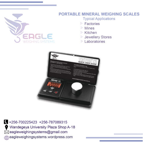 Mini Digital Portable Electronic weighing scale in Kampala