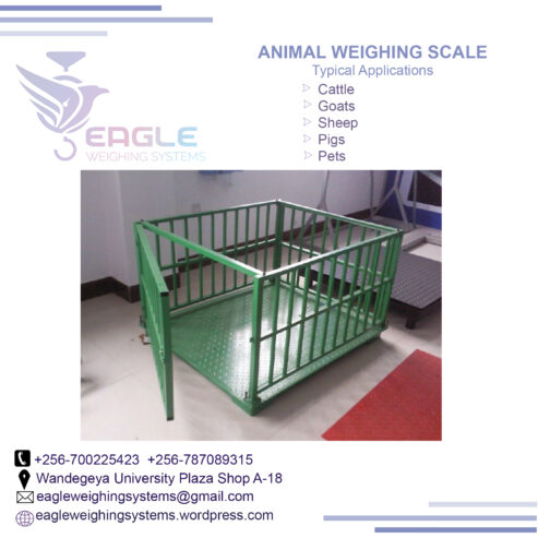 Stainless steel electronic animal weighing scales in Kampala