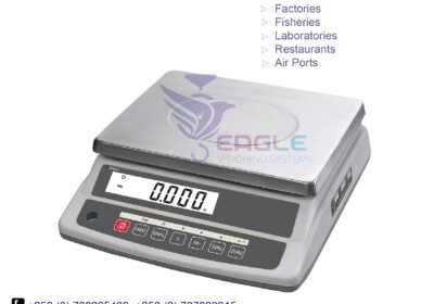 weighing-scale-square-work91