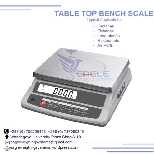 Waterproof Table Top Weighing Scale for weighing fish