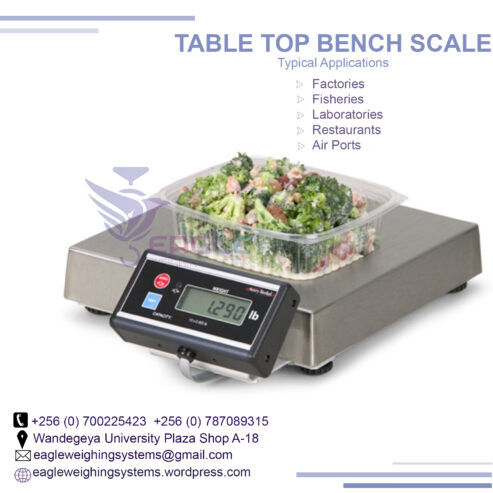 Digital Table Top Precision Industrial Weighing Scales