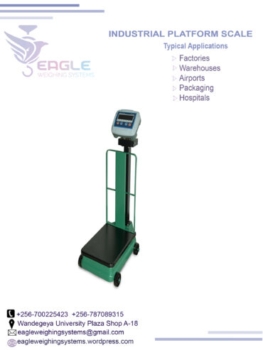 Digital Platform scale 40kg electronic weigh scale