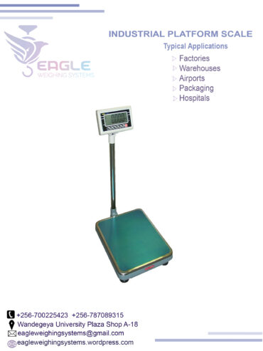 Electronic platform weighing digital scale/balance