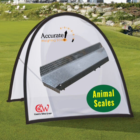 Cardinal weighbridge scale with infrared raster