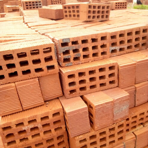 Selected Bricks