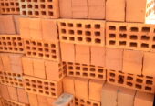 Selected Bricks