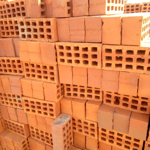 Selected Bricks