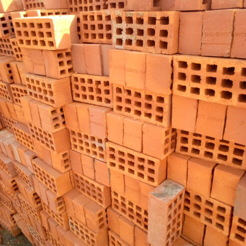 Selected Bricks