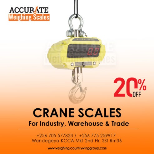 crane weighing scales with palm indicator