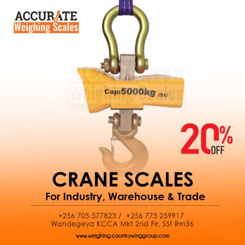 zinc coated heavy duty hook digital crane weighing scale