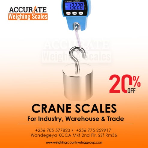 crane weighing scale with high temperature protecting plate