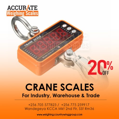 digital crane weighing scale with optional hanging pan