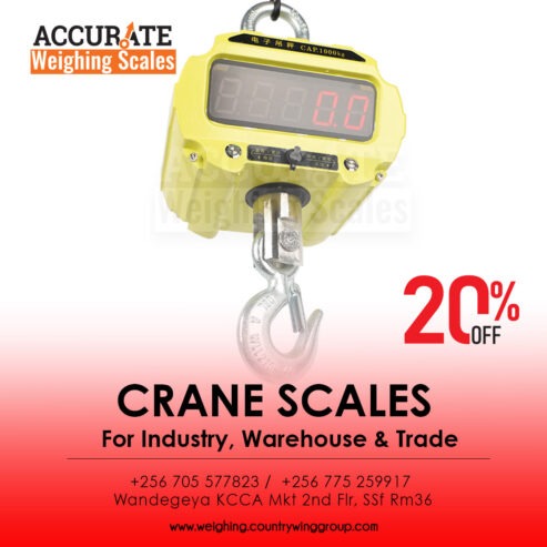 digital Mini Crane weighing Scale & Sling