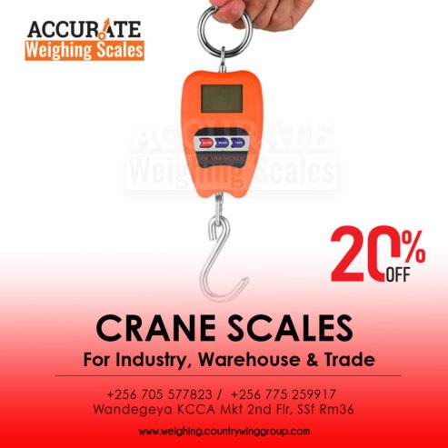 LCD Electronic Mini Portable Crane Scale