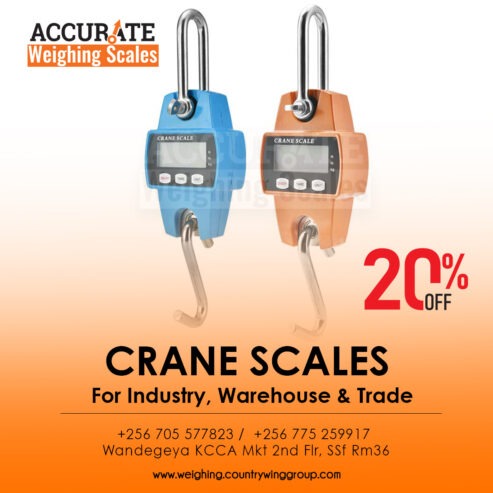 heavy duty digital crane weighing scale with portable Blue