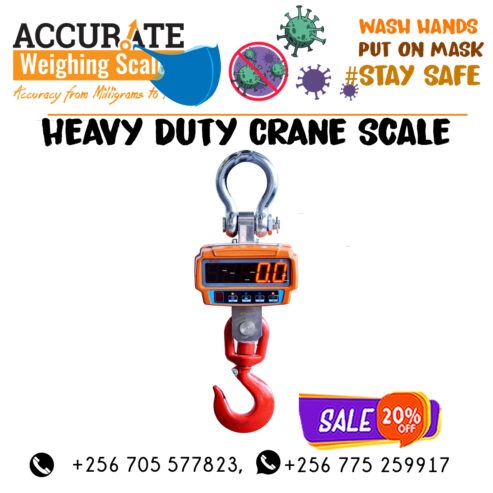 300kgx 0.1kg Electronic Portable Mini Crane Scale Weight