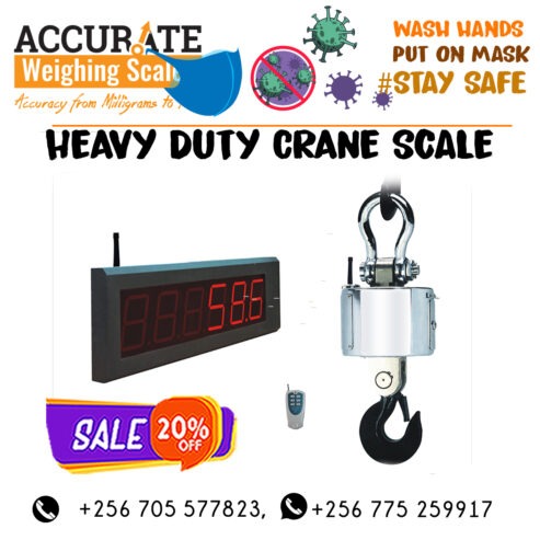 300KG/660LBS Mini Crane weighing Scale Portable LCD