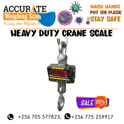 300kgx 0.1kg Electronic Portable Mini Crane Scale Weight