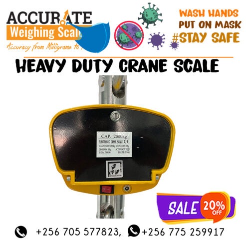 Mini Portable Crane weight Scale 300kg 0.1kg