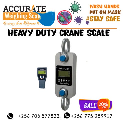 Portable Electronic Mini Crane weighting Scale