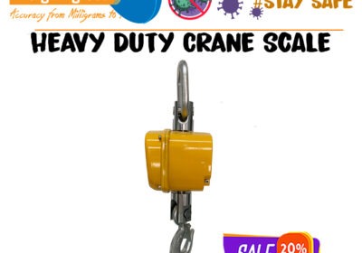 HEAVU-DUTY-CRANE-SCALE-37