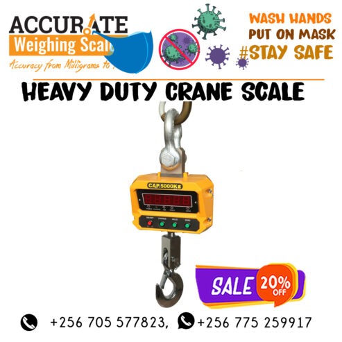 precise Mini Crane Scale Portable LCD display