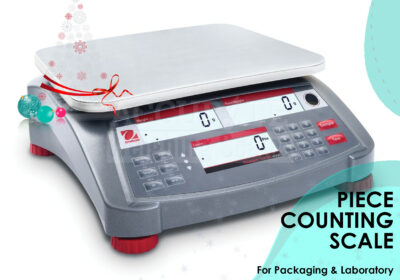 PIECE-COUNTING-SCALE-1