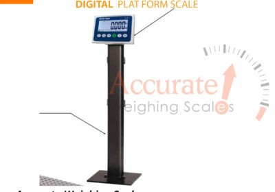 Platform-scale-38-jpg