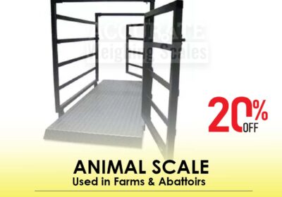 animal-scale-32