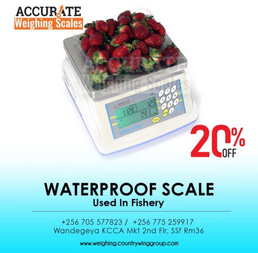 Industrial table top waterproof weighing scale digital type